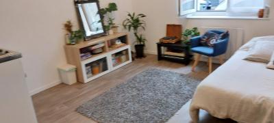 Studio Entièrement rénové à Louer Lille proche CHR